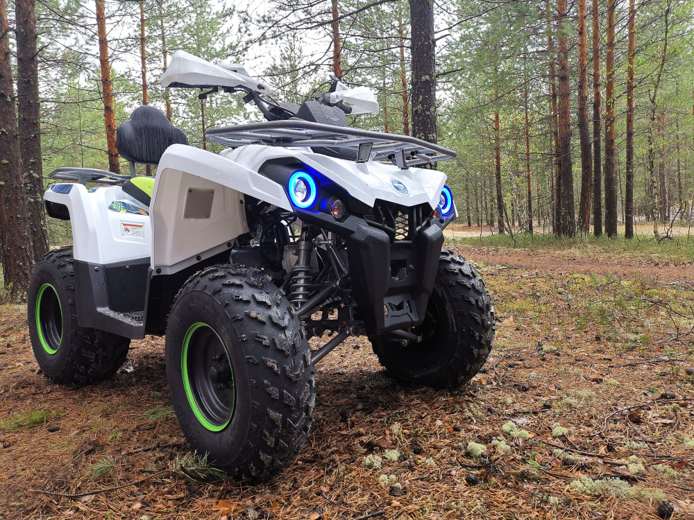 Квадроцикл PROMAX RENEGADE 280 (2025) в Хабаровске