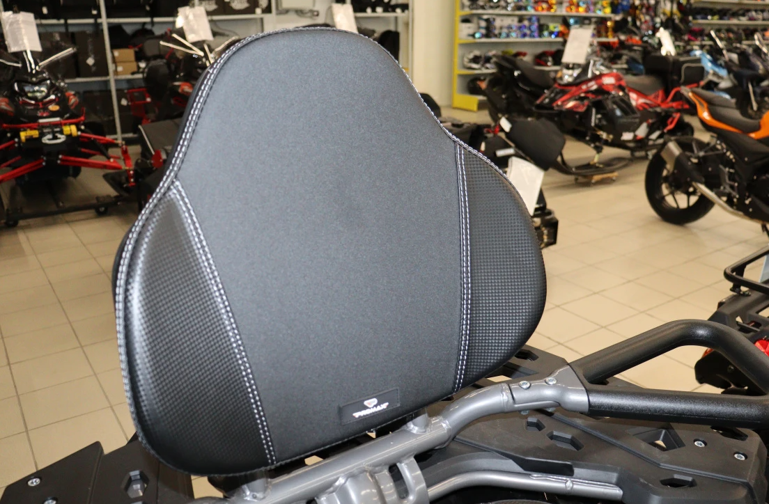 Квадроцикл PROMAX RENEGADE 300 LONG WINCH PRO (2025) в Хабаровске