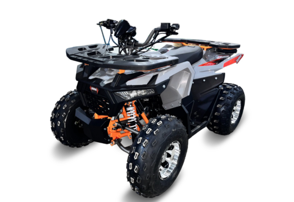 Квадроцикл GBM DAXTER 220 NEW PREMIUM в Хабаровске