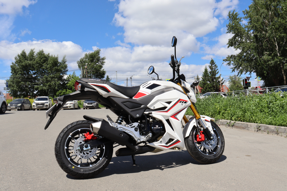 Мотоцикл PROMAX STRYKER 200(49) 2.0 в Хабаровске
