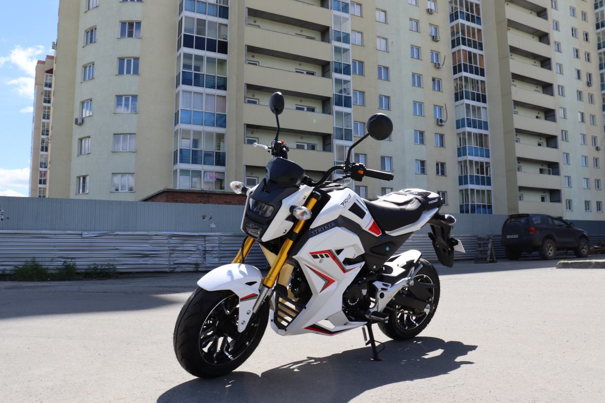 Мотоцикл PROMAX STRYKER 200(49) 2.0 в Хабаровске