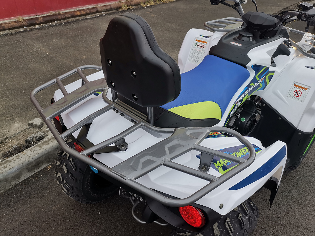 Квадроцикл PROMAX RENEGADE 280 LUX (2025) в Хабаровске