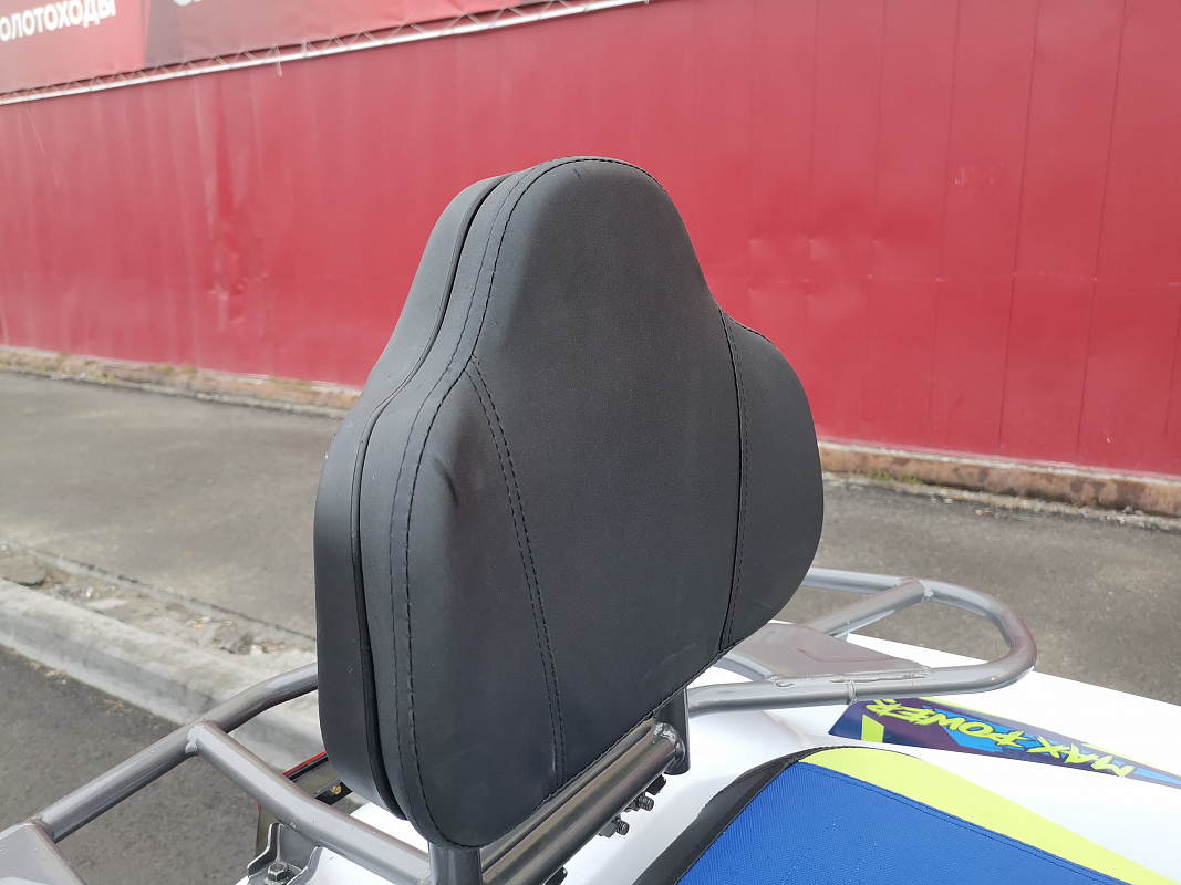 Квадроцикл PROMAX RENEGADE 280 LUX (2025) в Хабаровске