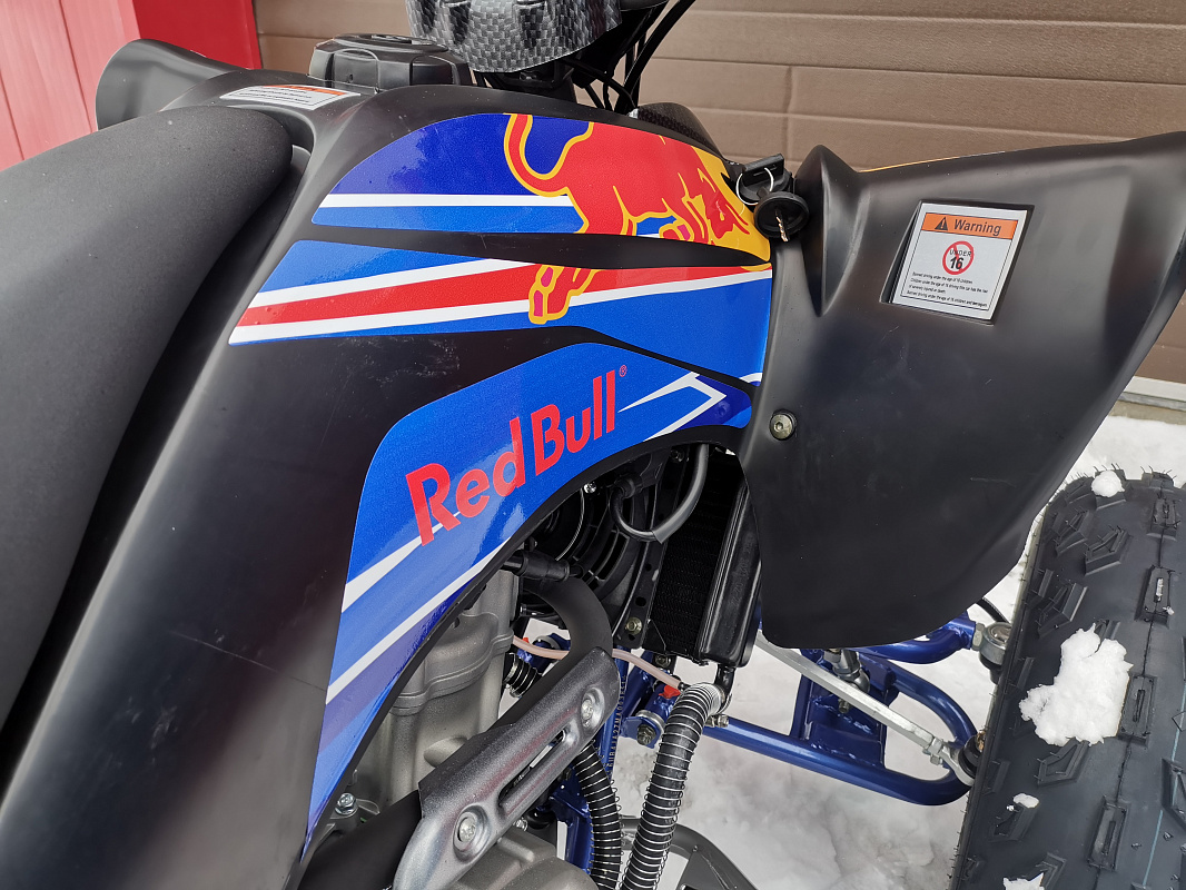 Квадроцикл PROMAX RAPTOR 300 NEW RedBull в Хабаровске