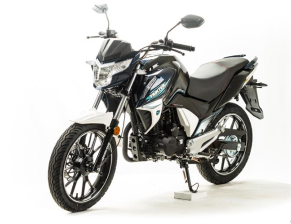 Мотоцикл MOTOLAND (МОТОЛЕНД) FIGHTER 250 в Хабаровске