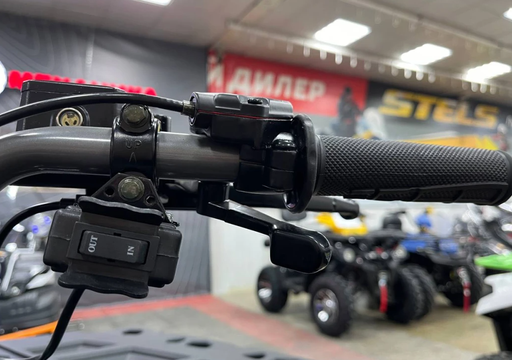 Квадроцикл PROMAX RENEGADE 300 LONG WINCH PRO (2025) в Хабаровске