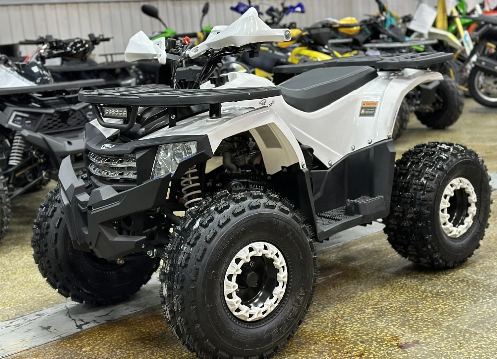 Квадроцикл PROMAX WILD 2.0 190 в Хабаровске