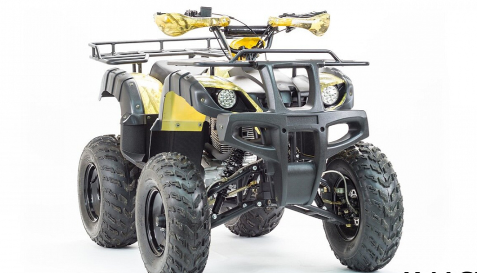 Квадроцикл MOTOLAND (МОТОЛЕНД) 250 ADVENTURE в Хабаровске