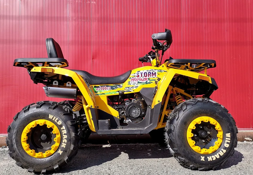 Квадроцикл PROMAX STORM 280 LUX в Хабаровске