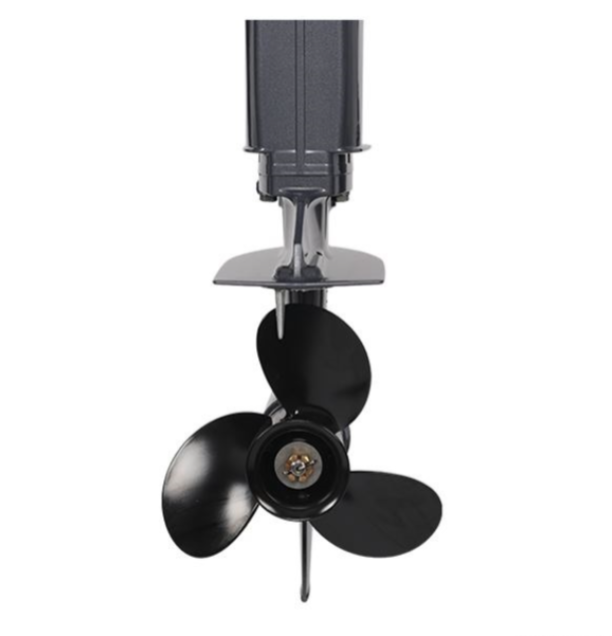 Лодочный мотор ALLFA CG Т40FW S в Хабаровске