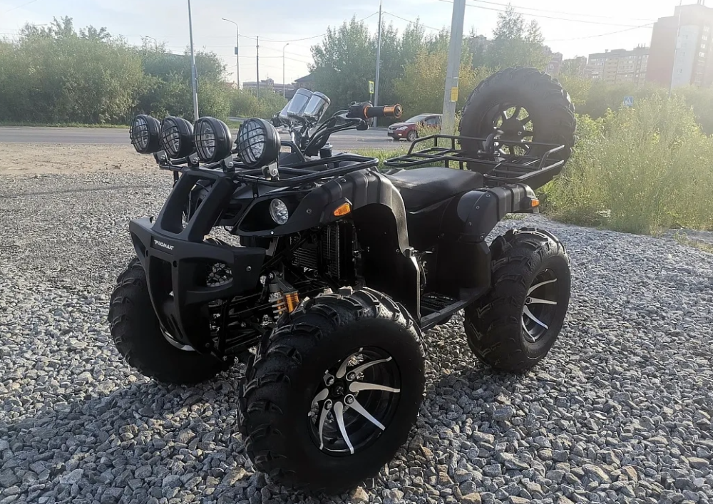Квадроцикл PROMAX LEO 300 Max (кардан) в Хабаровске