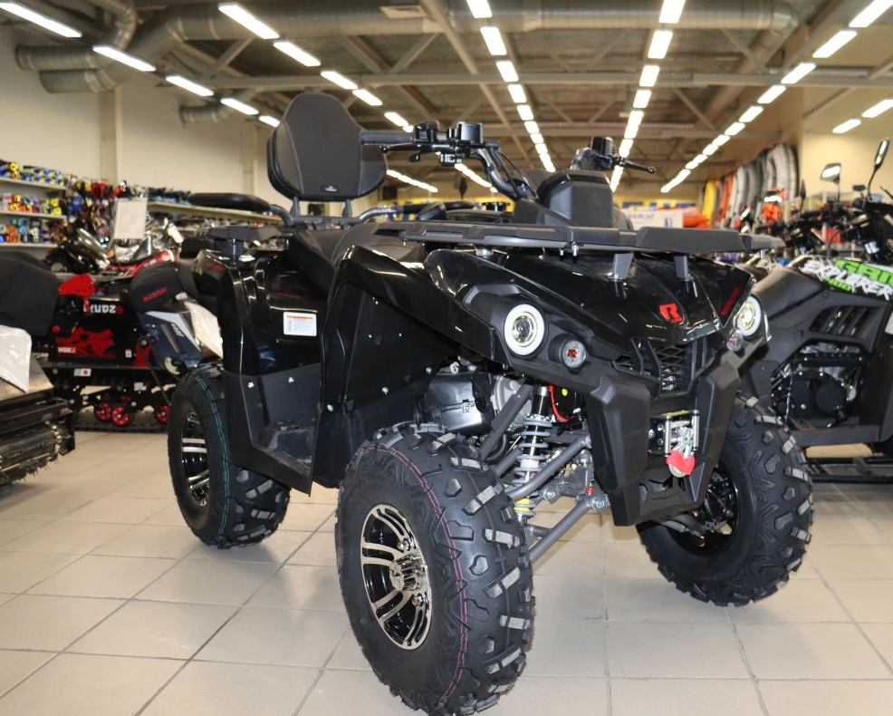 Квадроцикл PROMAX RENEGADE 300 LONG WINCH PRO (2025) в Хабаровске