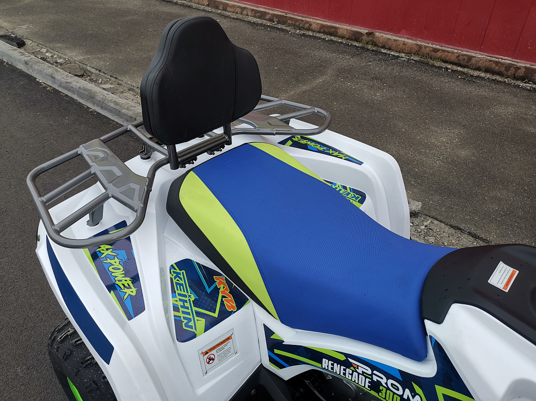 Квадроцикл PROMAX RENEGADE 280 LUX (2025) в Хабаровске