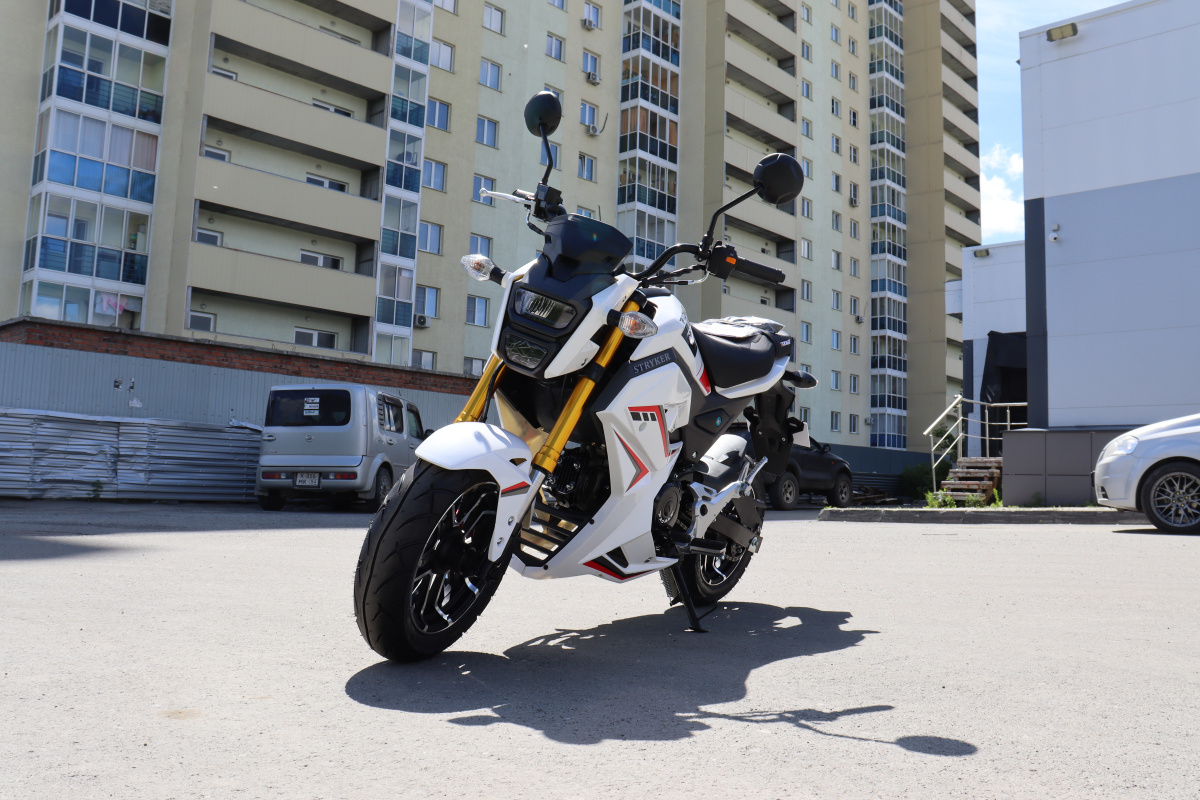 Мотоцикл PROMAX STRYKER 200(49) 2.0 в Хабаровске