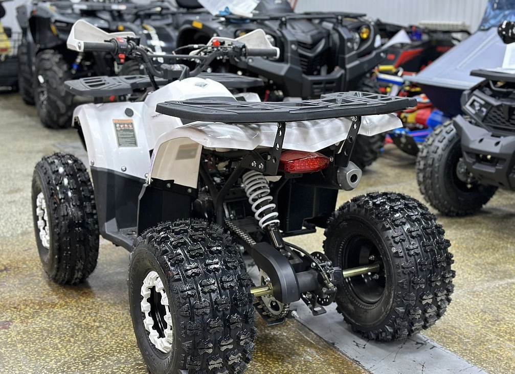 Квадроцикл PROMAX WILD 2.0 190 в Хабаровске