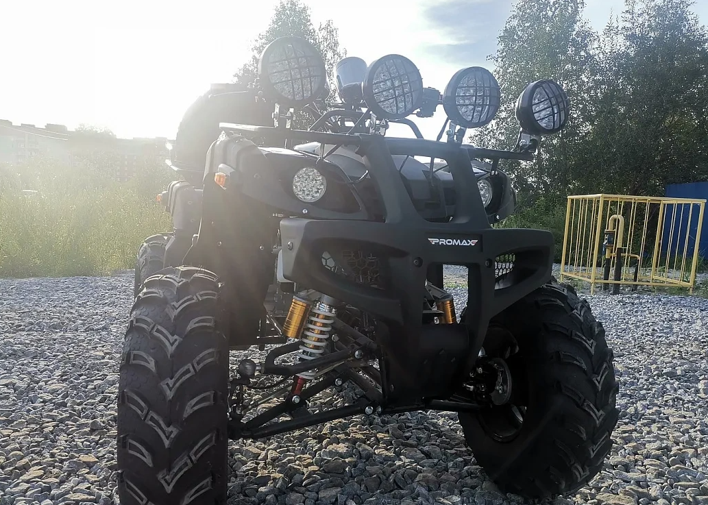 Квадроцикл PROMAX LEO 300 Max (кардан) в Хабаровске