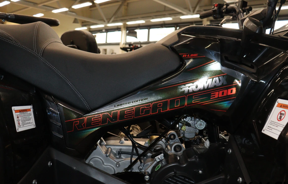 Квадроцикл PROMAX RENEGADE 300 LONG WINCH PRO (2025) в Хабаровске
