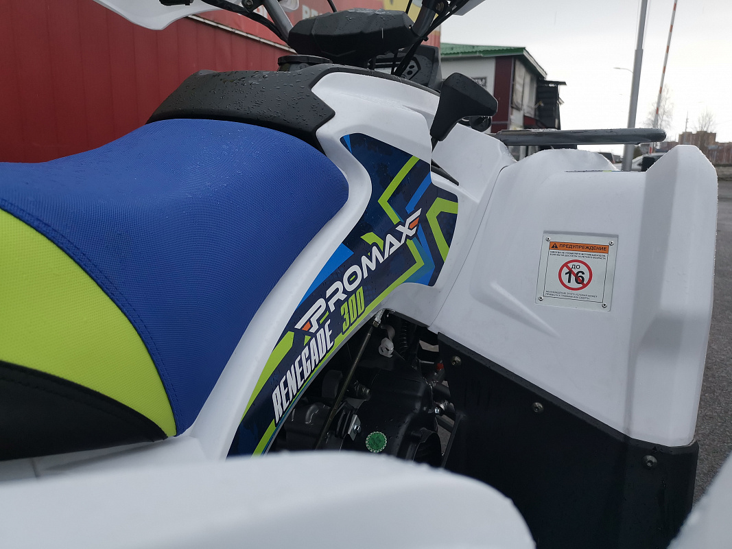 Квадроцикл PROMAX RENEGADE 280 LUX (2025) в Хабаровске