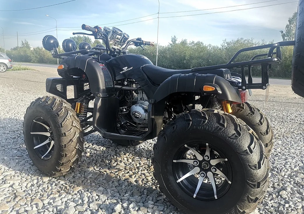 Квадроцикл PROMAX LEO 300 Max (кардан) в Хабаровске