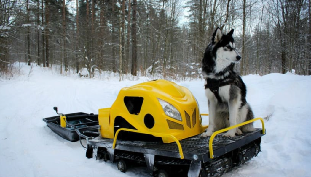 Мотобуксировщик LEBEDEV MOTORS ВОЛКОДАВ POWER V13 в Хабаровске