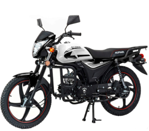 Мопед MOTOLAND (МОТОЛЕНД) Альфа RS 11 (LM48-B) в Хабаровске