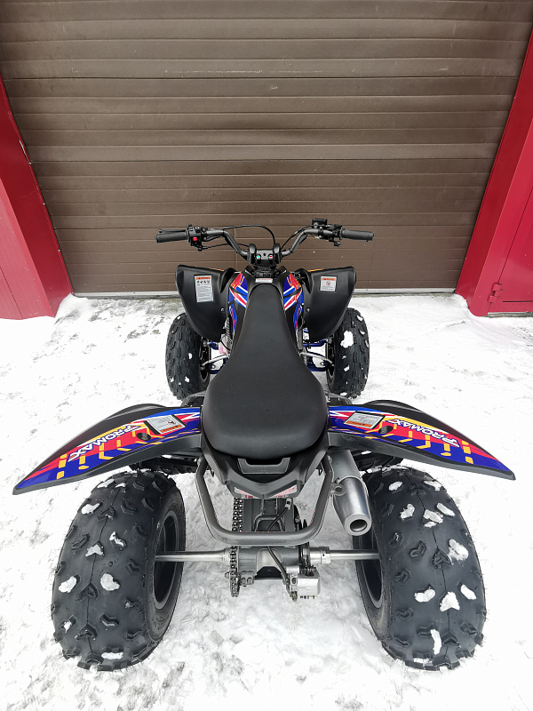 Квадроцикл PROMAX RAPTOR 300 NEW RedBull в Хабаровске