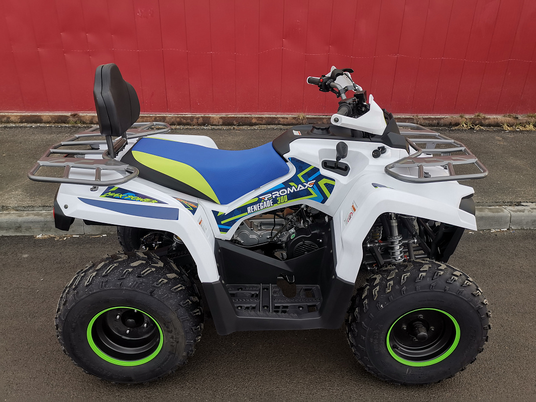 Квадроцикл PROMAX RENEGADE 280 LUX (2025) в Хабаровске