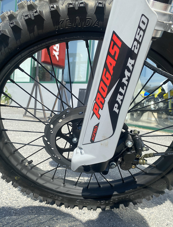 Мотоцикл Progasi PALMA 300 NEW (CB300F) в Хабаровске