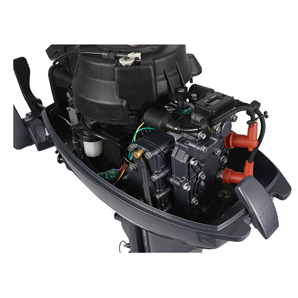 ЛОДОЧНЫЙ МОТОР ALLFA CG Т9,9 в Хабаровске