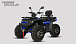 Квадроцикл PROMAX TAURUS 300 MAX-PRO LONG в Хабаровске
