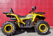 Квадроцикл PROMAX STORM 280 LUX в Хабаровске