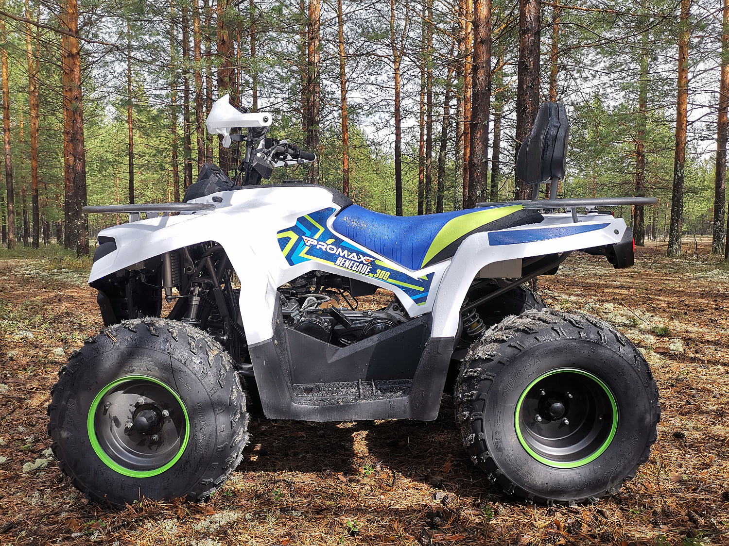 Квадроцикл PROMAX RENEGADE 280 (2025) в Хабаровске
