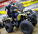 Квадроцикл PROMAX ATV 250 (2025) в Хабаровске