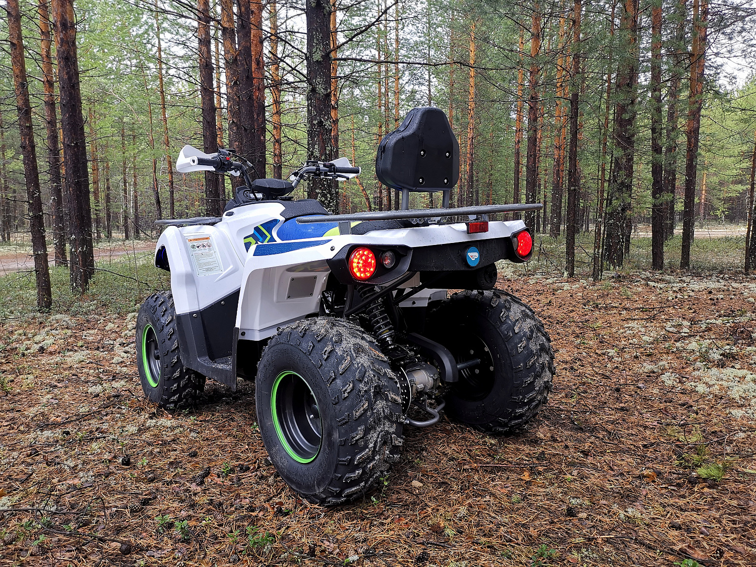 Квадроцикл PROMAX RENEGADE 280 (2025) в Хабаровске