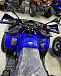 Квадроцикл PROMAX WILD 2.0 190 PRO (2025) в Хабаровске