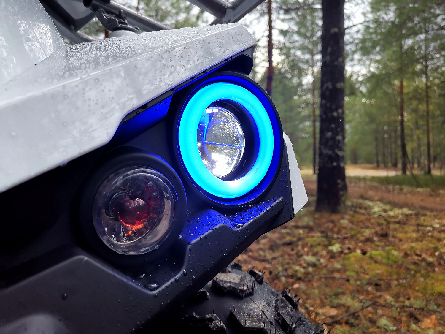 Квадроцикл PROMAX RENEGADE 280 (2025) в Хабаровске