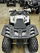 Квадроцикл PROMAX WILD 2.0 190 в Хабаровске