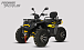 Квадроцикл PROMAX TAURUS 300 MAX-PRO LONG в Хабаровске